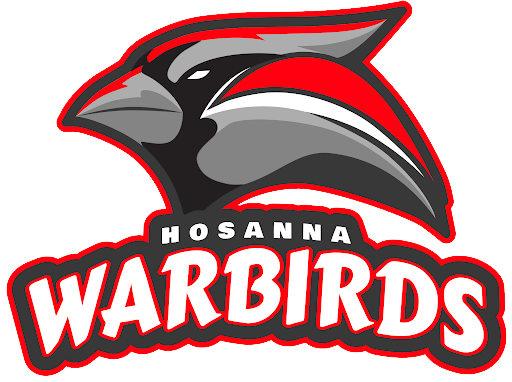 HosannaWarbirds
